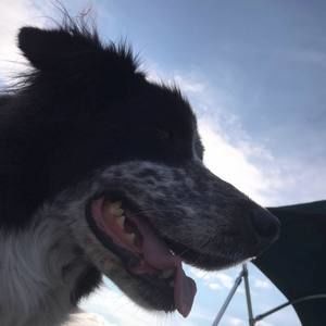 Meet your Posher, Nathalie